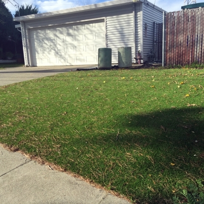 Fake Grass Carpet Pico Rivera, California Landscape Ideas, Front Yard