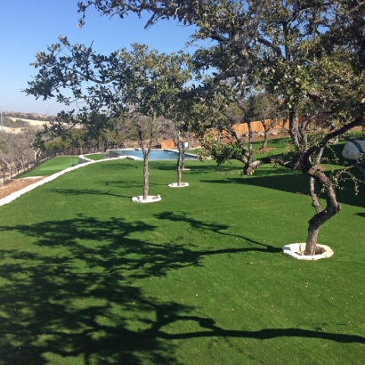 Fake Grass Carpet Simi Valley, California Indoor Putting Green, Backyard Designs