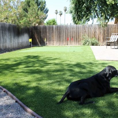 Fake Grass Carpet Vandenberg Air Force Base, California Roof Top, Grass for Dogs