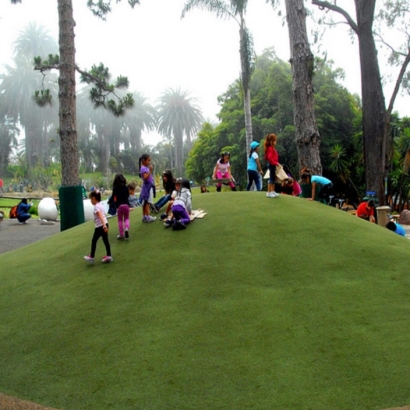 Fake Grass Carpinteria, California Landscaping, Parks