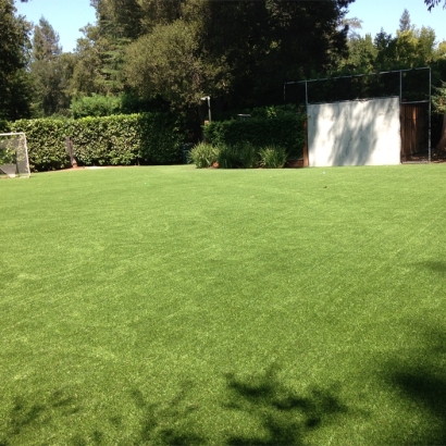 Fake Lawn Golden Hills, California Backyard Sports, Backyard Garden Ideas