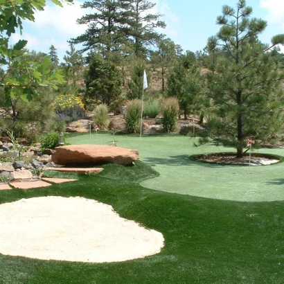 Fake Lawn Industry, California Indoor Putting Green, Backyard Makeover
