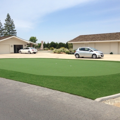 Fake Lawn South Whittier, California Landscaping Business, Landscaping Ideas For Front Yard