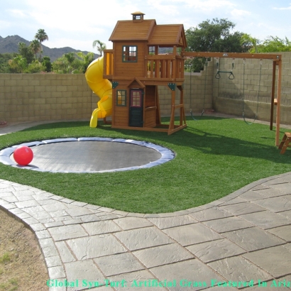 Fake Lawn Summerland, California Garden Ideas, Backyard