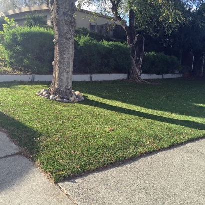 Fake Turf Greenfield, California City Landscape, Front Yard Ideas