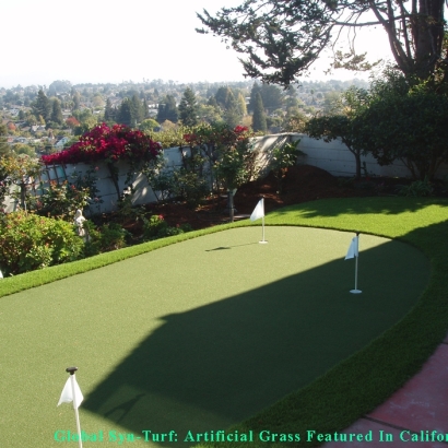 Fake Turf Ojai, California Lawn And Landscape, Backyard Landscape Ideas