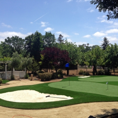 Faux Grass Belvedere, California Artificial Putting Greens, Small Front Yard Landscaping