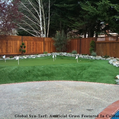 Faux Grass Carpinteria, California Putting Green, Backyard Designs