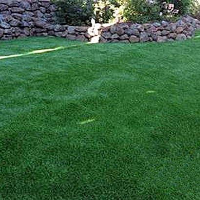 Faux Grass Isla Vista, California Home And Garden, Backyard Landscape Ideas