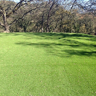 Faux Grass Lancaster, California Backyard Playground, Parks