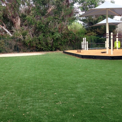 Faux Grass Lebec, California Playground Flooring