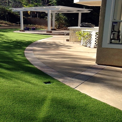 Faux Grass Rosemead, California Grass For Dogs, Landscaping Ideas For Front Yard