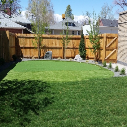 Faux Grass West Rancho Dominguez, California Lawns, Backyard