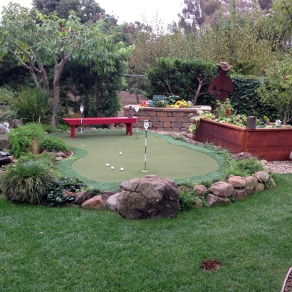 Faux Grass Westminster, California Garden Ideas, Backyard Ideas