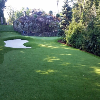 Grass Carpet East Los Angeles, California Indoor Putting Greens, Commercial Landscape