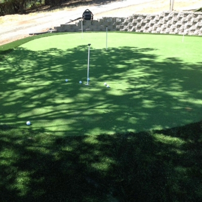 Grass Carpet Frazier Park, California Putting Green Turf, Backyard Makeover
