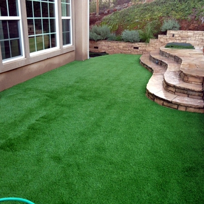 Grass Carpet Long Beach, California Lawn And Garden, Backyard Design