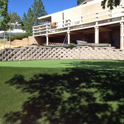 Grass Carpet Santa Maria, California Roof Top, Backyard