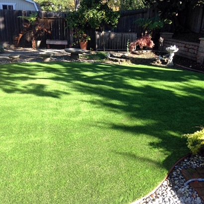 Grass Carpet West Whittier-Los Nietos, California Design Ideas, Backyard Designs