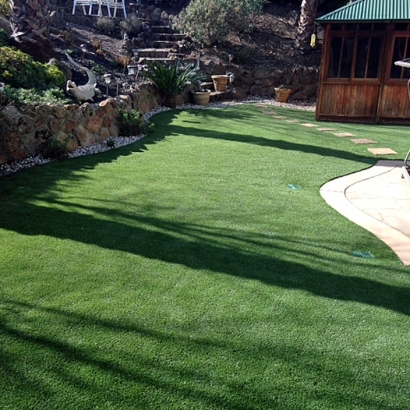 Grass Installation Lompoc, California Landscaping, Backyard Landscaping Ideas