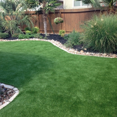 Grass Turf Agoura, California Cat Grass, Backyard Designs