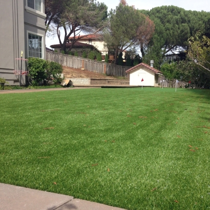 Grass Turf Arvin, California Lawn And Landscape, Backyard Ideas