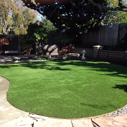 Grass Turf Bellflower, California Lawn And Garden, Backyard Garden Ideas