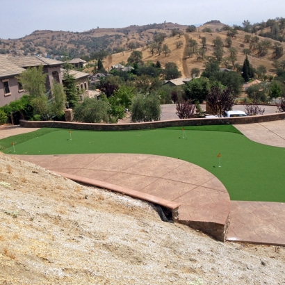 Grass Turf Pico Rivera, California Best Indoor Putting Green, Small Backyard Ideas