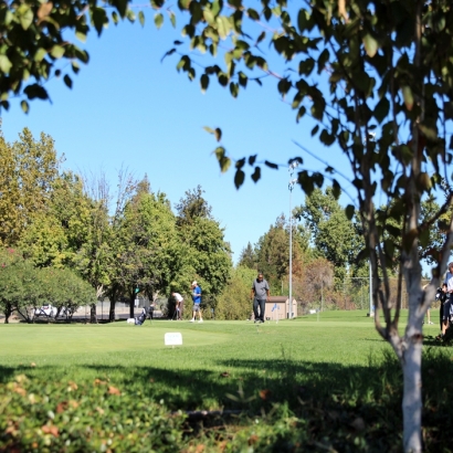 Grass Turf West Carson, California Best Indoor Putting Green