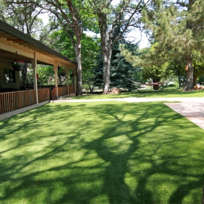 Green Lawn Costa Mesa, California Backyard Playground, Backyard Landscape Ideas