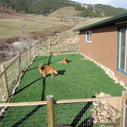 Green Lawn Mettler, California Artificial Grass For Dogs, Backyard Design