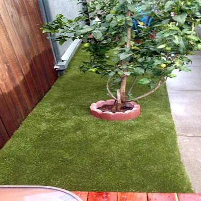 Green Lawn Rosemead, California Artificial Turf For Dogs, Backyard Designs