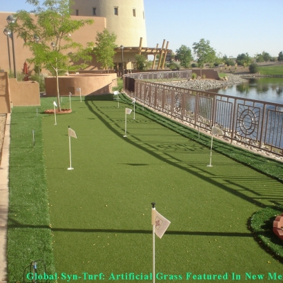 Green Lawn Saticoy, California Home Putting Green, Backyard Landscape Ideas