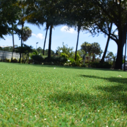 Green Lawn Stanton, California Gardeners, Recreational Areas