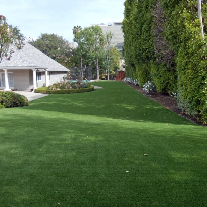 How To Install Artificial Grass Pine Mountain Club, California Fake Grass For Dogs, Small Front Yard Landscaping