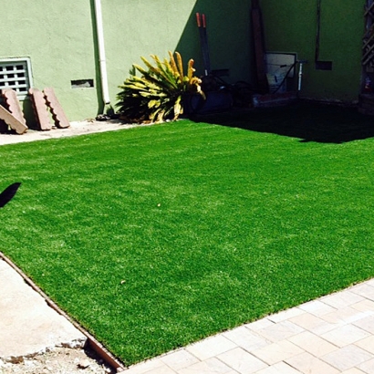 Lawn Services Hawthorne, California Hotel For Dogs, Backyard Landscaping Ideas