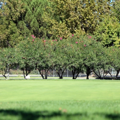 Lawn Services Quartz Hill, California Outdoor Putting Green