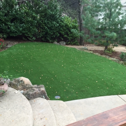 Outdoor Carpet Rosedale, California Landscaping Business, Small Backyard Ideas