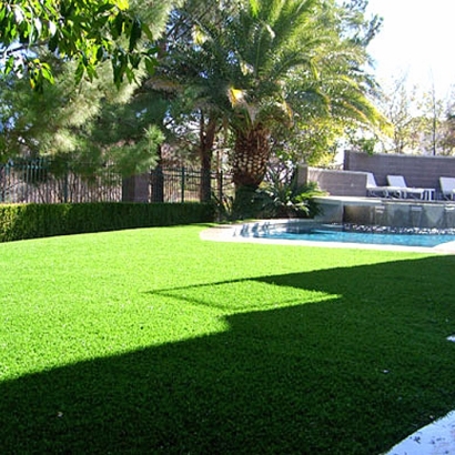 Plastic Grass Buttonwillow, California Landscaping Business, Backyard Makeover