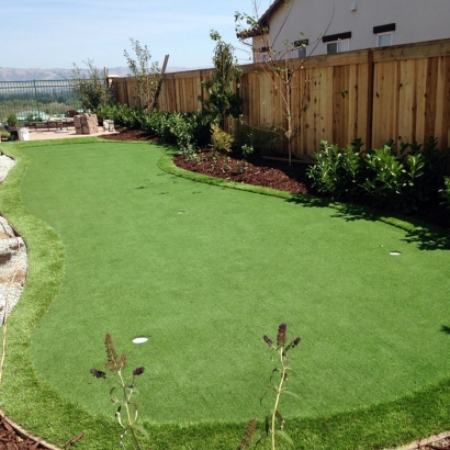 Plastic Grass Ladera Heights, California Rooftop, Backyard Landscaping Ideas