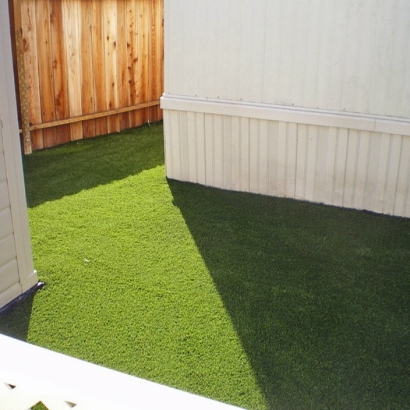 Plastic Grass Ladera Heights, California Indoor Dog Park, Small Backyard Ideas