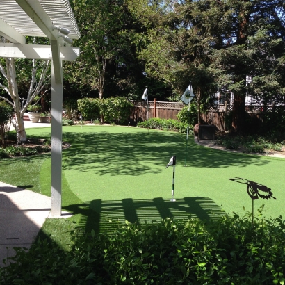 Plastic Grass Mexican Colony, California Landscaping Business