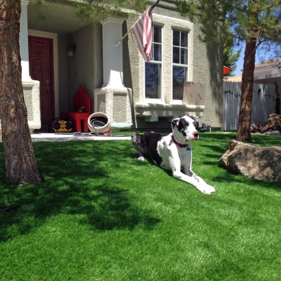 Plastic Grass Santa Ana, California Pet Turf, Front Yard Design