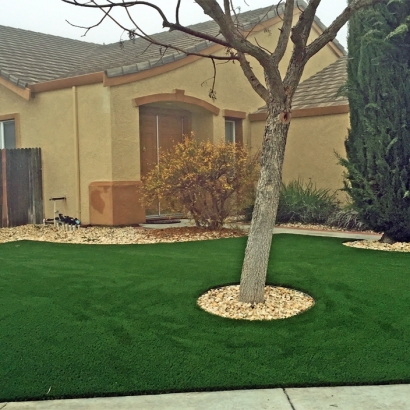 Synthetic Grass Baldwin Park, California Gardeners, Front Yard Landscape Ideas