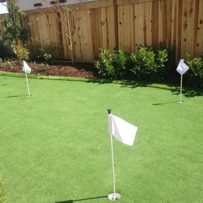 Synthetic Grass Cost Del Aire, California Home And Garden, Backyard Designs