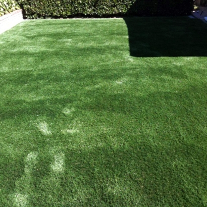 Synthetic Grass Cost La Habra Heights, California Watch Dogs, Backyard Landscape Ideas