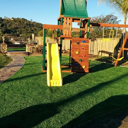 Synthetic Grass Cost Santa Susana, California Playground, Backyard Designs