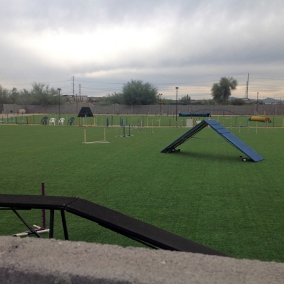 Synthetic Grass New Cuyama, California Stadium, Recreational Areas