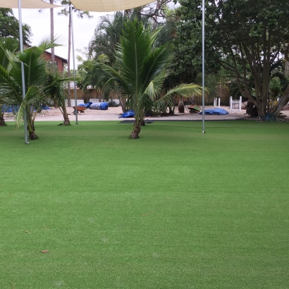 Synthetic Grass Westminster, California Lawn And Landscape, Commercial Landscape