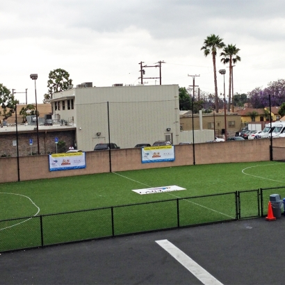 Synthetic Lawn Culver City, California Football Field, Commercial Landscape